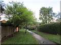 Footpath to Pershore Way