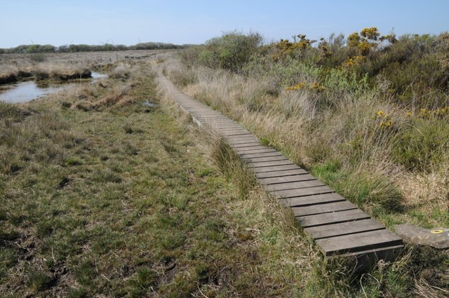 Duckboards on Goonhilly Downs