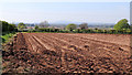 Potato field near Whiston Cross in Shropshire