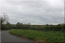 TF0900 : Langley Bush Road near Stibbington by David Howard