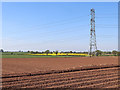 Shropshire potato field with pylon, near Boningale