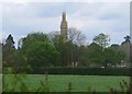 Hadlow Tower across fields