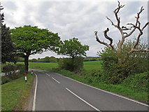TQ6490 : Dunton Road near Park Farm Cottage, Ingrave by Roger Jones