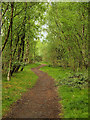 Path at Outwood Country Park