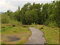 Clearing in Outwood Forest Park