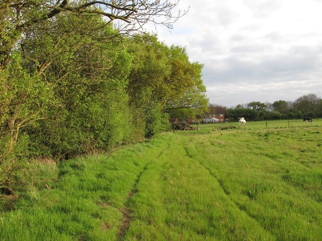 Footpath on Field Boundary, Near Sudbury's Farm, Little Burstead