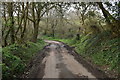 SW9743 : Wooded lane near Trevennen Farm by Simon Mortimer