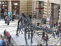 NS5666 : Diplodocus carnegii in Glasgow by M J Richardson
