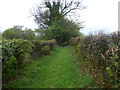 Footpath at Keir Hill, Kippen