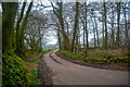 East Devon : Farm Track