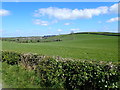 Drumlin ridge between Corgary Road and the A1