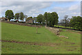 Bronte Way approaching Sowdens Farm