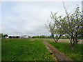 Site of St Ambrose Barlow College, Netherton