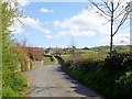 The Carrickrovaddy Road east of Jarrettspass