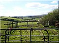 Cattlefold on the south side of Carrickrovaddy Road