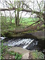 Fish pass on Aldbrough Beck