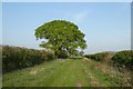 Looking along Southmoor Road