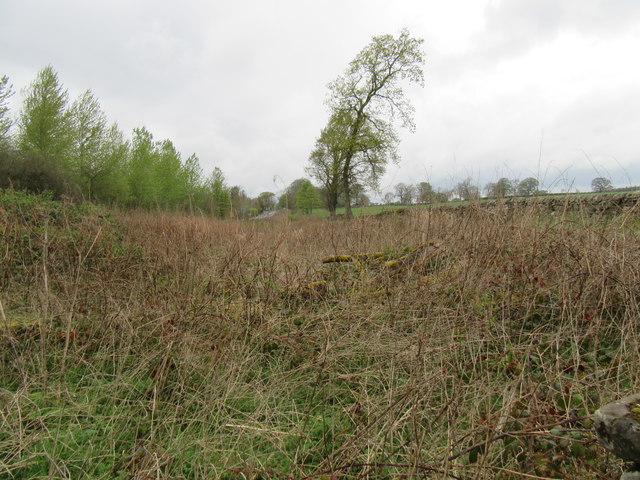 Ditch by Hadrian's Wall © T Eyre :: Geograph Britain and Ireland