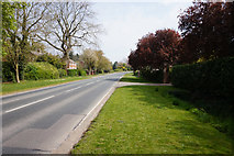 TA2303 : Waltham Road, Barnoldby le Beck by Ian S