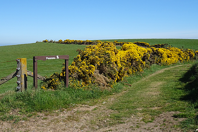 Path to Pennan © Anne Burgess cc-by-sa/2.0 :: Geograph Britain and Ireland