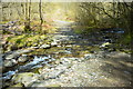 Ford at Allt Troed-y-rhiw