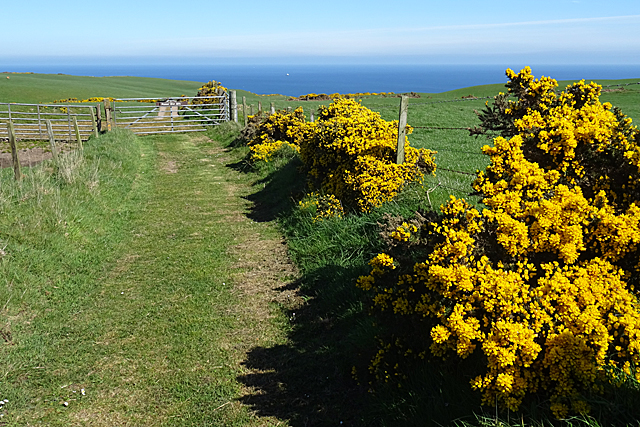 Gate on the Path © Anne Burgess :: Geograph Britain and Ireland