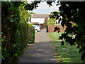 Rear of houses backing on to Long Bridle Road