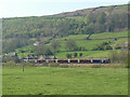 Train at North View, Cononley