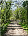 Underhill Lane, Pant