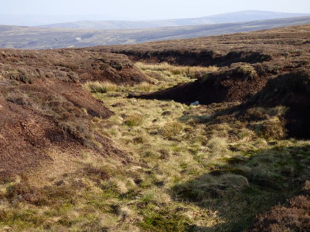 Moorland, Knaresdale © Andrew Smith :: Geograph Britain and Ireland