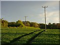 Farmland, Bisham