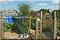 AONB, Allotments, Whitfield Lane, South Petherton