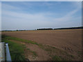 Westerly view across arable field