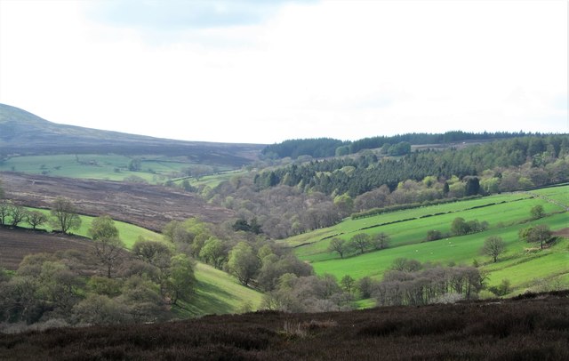 View towards the valley of Wheat Beck
