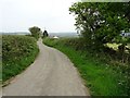 Country road to Nanstallon