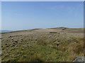 SE0150 :  High Bradley Moor, looking west by Stephen Craven