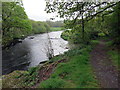 Llwybr glanafon / Riverside path