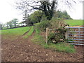 Llwybr Cors y Fran / Cors y Fran Path