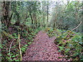 Llwybr Ceffyl Cwm Einon / Cwm Einon Bridleway