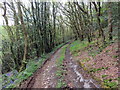 Llwybr ceffyl i Gapel Dewi / Bridleway to Capel Dewi