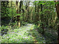 Llwybr ger Rhiw Felen / Path near Rhiw Felen