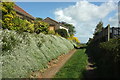 Footpath, South Petherton