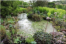 NX6851 : Pond at Broughton House Garden by Billy McCrorie