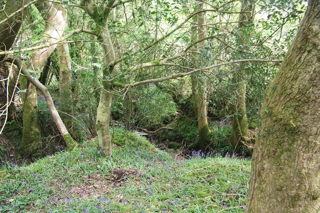 Carmarthenshire 'footpath' 31/6 © Alistair Hare cc-by-sa/2.0 ...