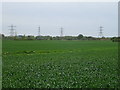 Fields just off Brewery Lane