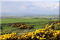 NX5750 : Farmland at Knockbrex Hill by Billy McCrorie