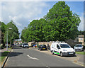 Lichfield Road: spring-green foliage