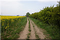 Bridleway towards Grimsby Road, A46