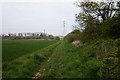 Path at Laceby Acres