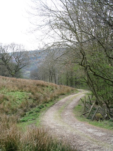 Bransdale track